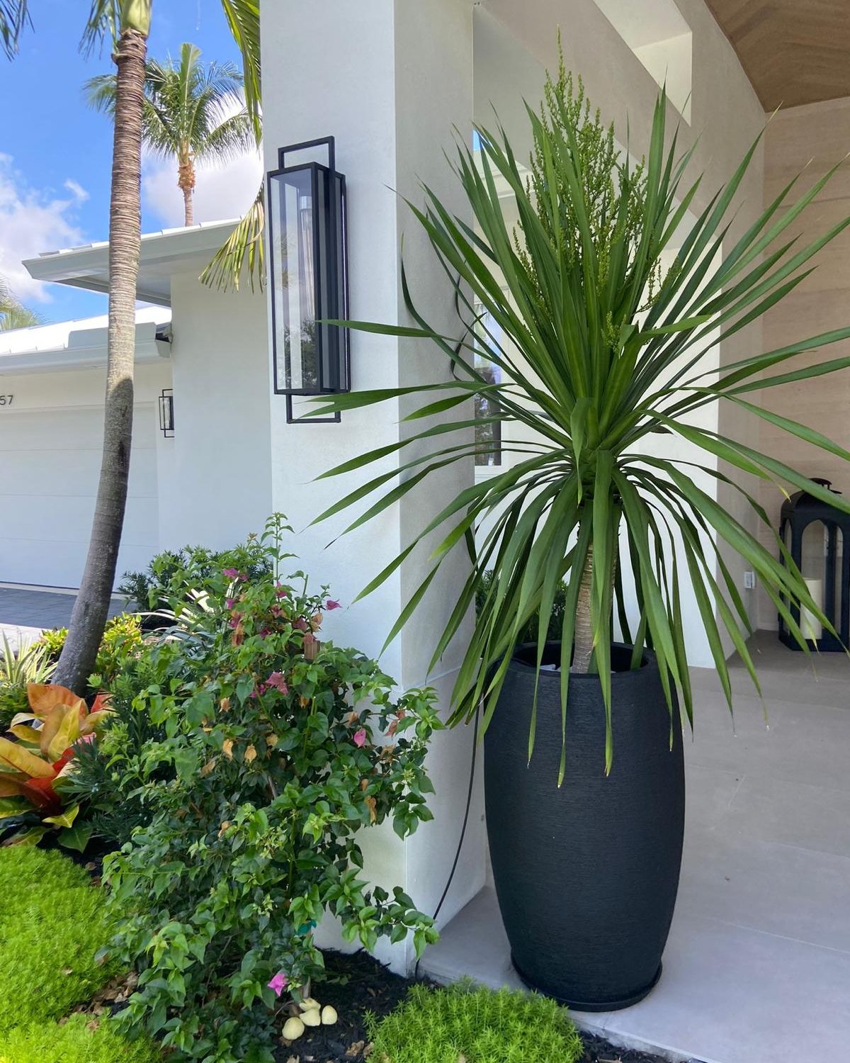Exterior entry of a custom Delray Beach home with palms and modern landscaping